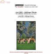 Kreuzstich Kreativ - Haflinger Horses
