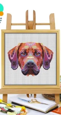 Awesome Pattern Studio - CS788 - Rhodesian Ridgeback XSD