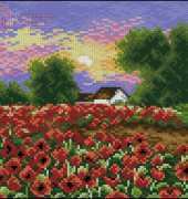 Poppy Fileld (May 2007) from Rozarka Special 6-2006 Kolekce na rok 2007