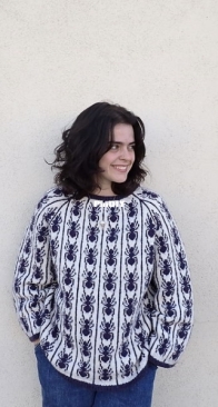 Ants in a Row Raglan by Meredith Willmott - LeafhopperKnits