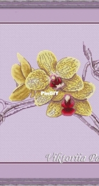 Orchid by Viktoriia / Victoria Pakhomova