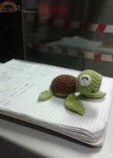 Turtle