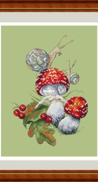 Amanita by Olga Knyazeva XSD