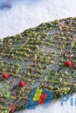 Tomato Vines Shawl by Kathleen Rogers/katrog designs -Free