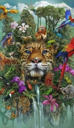 HAED HAECRMR 20190800 Jungle Montage by Ciro Marchetti