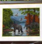 Pinn 40-Y  Thai Elephants