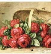 Golden Kite GK 1752 - Red Rose