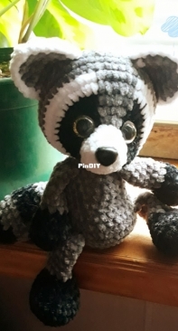 little raccoon
