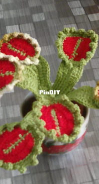 carnivorous plant