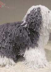Scare Crow Original - Christine Lucas - Old English Sheep Dog