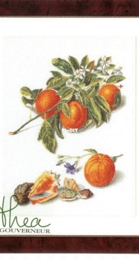 Thea Gouverneur - 3061 - Oranges