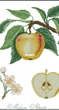 Il frutto del mese - Malus Panaia from ricAmare magazine 2006  XSD + PCS