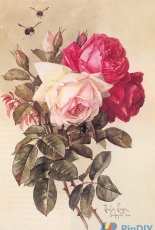 Laura Stitch  Fiori 052