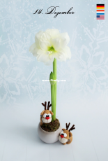 Mala Designs - Mandy Herrmann - Little Reindeers