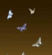 HAENNTSK 122 Storykeep Rhapsody - Nene Thomas