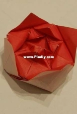 rose paper