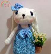 My little rabbit Celia