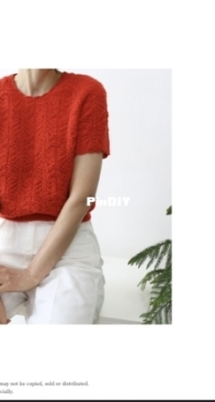 La Tulipe tee by Jung Su Choi by miir knits