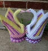 swans