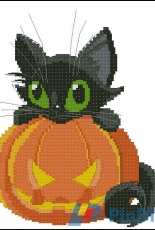 Halloween cat