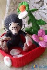 Mole