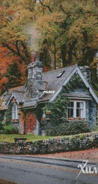 Chimera - House Covered with Ivy