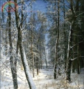 Golden Kite GK 1510 - Winter in Wood (Small)