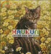 Haukun A-024 - Tabby Cat