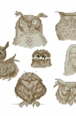 Owls by Anna Dubrouskaja / Совушки анна-анюточка