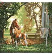 Dimensions - The Gold Collection 35260 Mare and Foal XSD