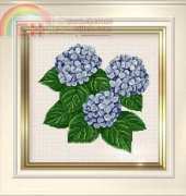 Ellen Maurer Stroh EMS 034  Hydrangea