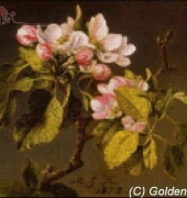 Golden Kite GK 767 - Apple Blossoms
