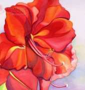 HAED HAENT 2201 Amaryllis At Dawn by Nadia Tate