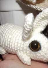bunny
