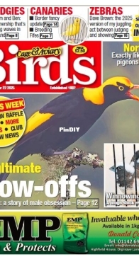 Cage and Aviary Birds - October 22 -  2025
