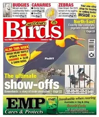 Cage and Aviary Birds - October 22 -  2025