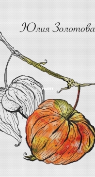 Sprigs of physalis by Julia Zolotova