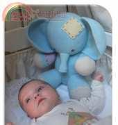 Renee Elephant by Marie Lize