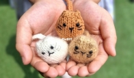 MIni Cat by A Knitter - Free