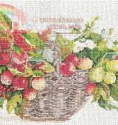 Fujico 602 Small Apple