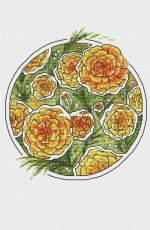 Marigold by Alisa Okneas