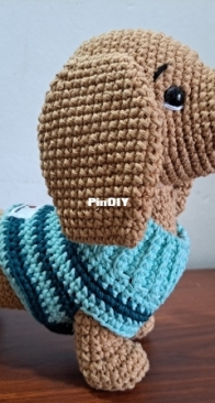 Dog Dachshund