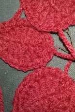 poinsetta