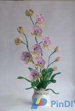 Beaded Orchids