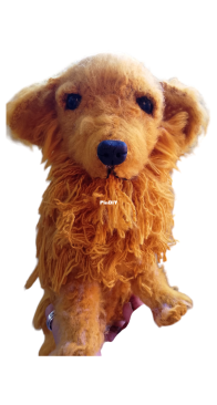 Golden realistic dog