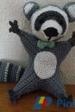 raccoon