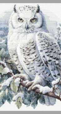 XstitchPatternx - A-023 Winter Owl by Katerina Ayupova