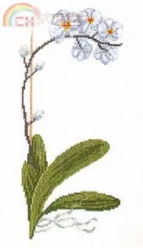 DMC XC1063 Orchid