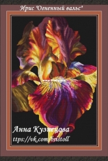 The Fire Waltz Iris by Anna Kuznetsova
