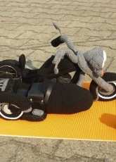 Heidi Arnold - Motorcycle with sidecar and helmet - German - Free